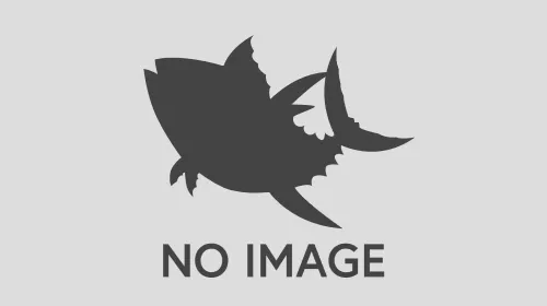 画像なし